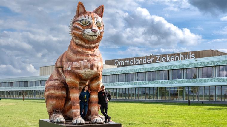 Reusachtige kat krijgt plek op terrein Ommelander Ziekenhuis in Scheemda