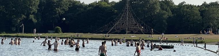 Groningse zwemwateren vervuild met verschillende chemische stoffen