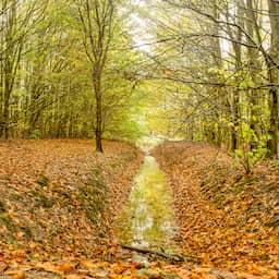 Droogtemaatregelen nemen af, maar herstel grondwaterstand duurt nog jaren