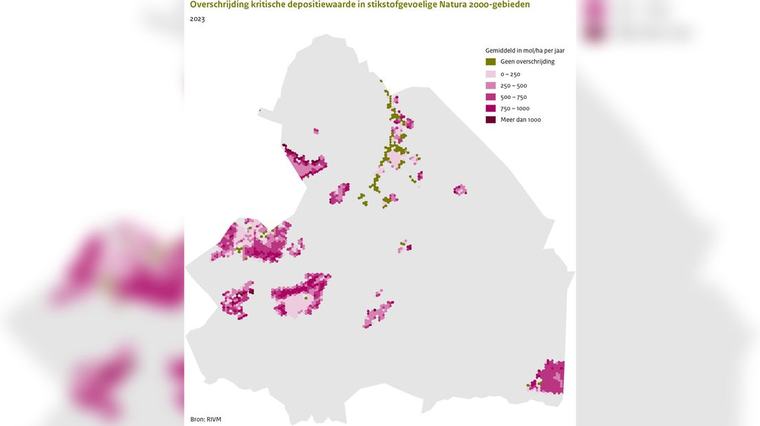 Planbureau Leefomgeving: veestapel moet inkrimpen vanwege stikstof