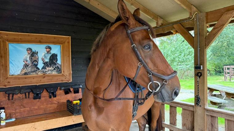 Nardo en Bert Ruiter spelen belangrijke rol op Prinsjesdag: 'Anders vindt Majesteit er wat van'
