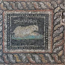 Archeologen vinden 1800 jaar oud mozaïek met mogelijke huisdieren in Turkije