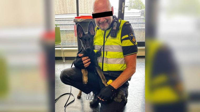 Tegel van verdachte wijkagent Erwin weggehaald uit Tilburgse Walk of Fame