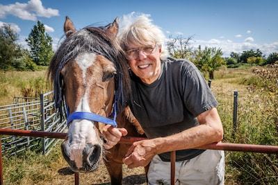 Mysterie rond verdwenen pony Sjaam eindelijk opgelost: ‘We zijn verbijsterd’