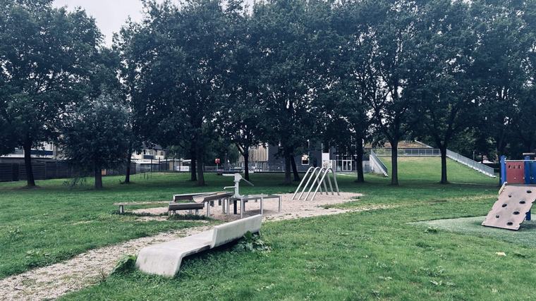 Overlast en vernielingen teisteren buurt in Asser wijk Pittelo. ’Mensen durven hier ’s avonds de straat niet meer op’