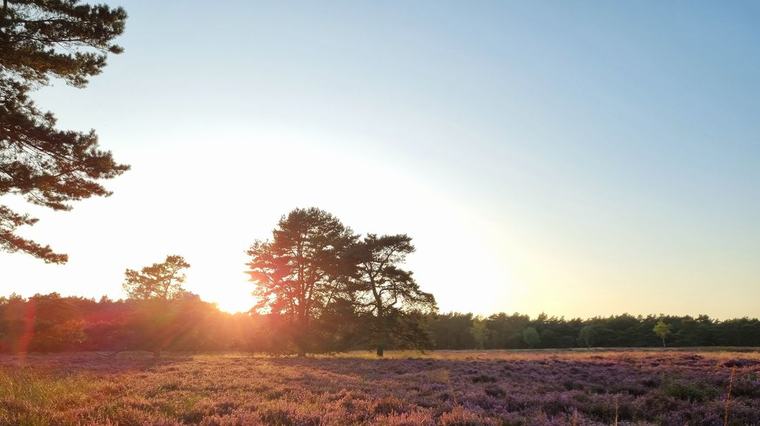 Dit wordt het weer: 'Voorlopig nog geen herfst'