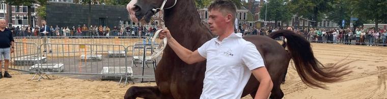 Groningen viert Bommen Berend: 'Peerden hören bie de 28ste' • Groot spandoek op Stadsbalkon