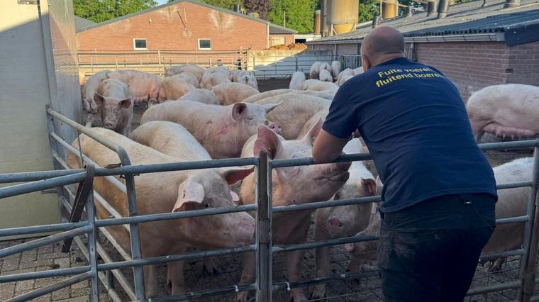 Piekbelaster Wim (60) kreeg ruim een miljoen euro om te stoppen met boeren: 'Heb er geen traan om gelaten'