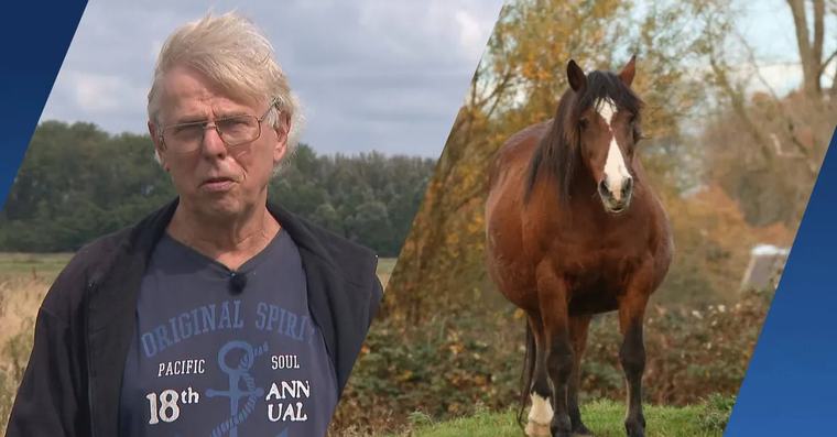 Plotwending rond vermiste pony Sjaam: hierom haalde de politie zelf het dier weg