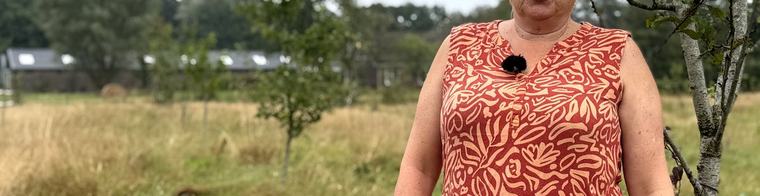 Perenboompjes van Michael en Petra uit Peize staan op de verkeerde plek: 'Landschap moet hetzelfde blijven'