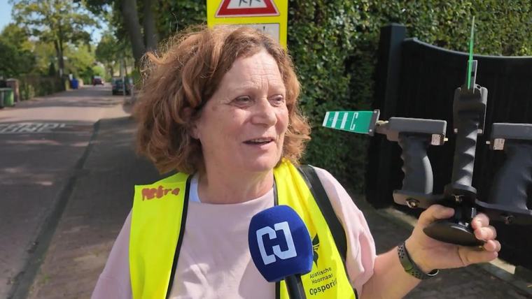 Gewapend met zenders zoeken deze 'hornetbusters' naar hoornaars: "119 koningen weggehaald"